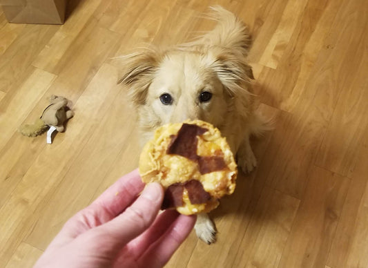 Pizza para Perros - Receta Fácil