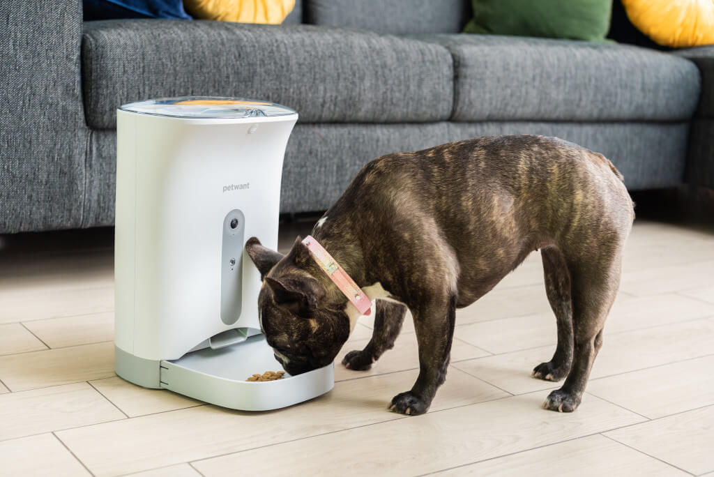 Dispensador de comida con un perro